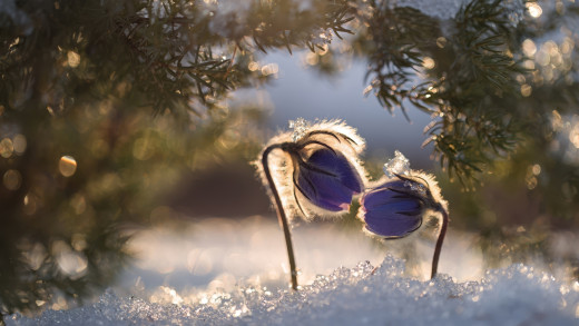 1759511 (a): :2560x1440